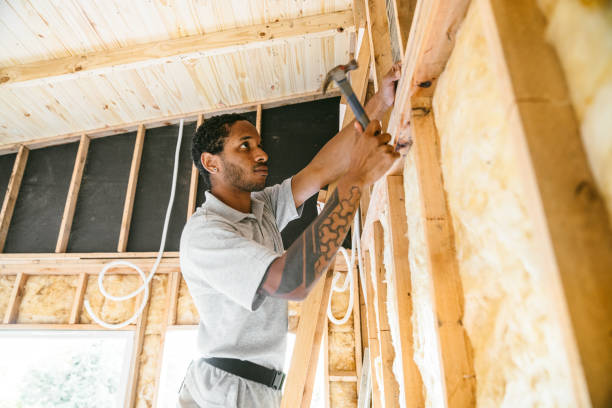 Best Insulation Replacement Services  in Pleasanton, KS
